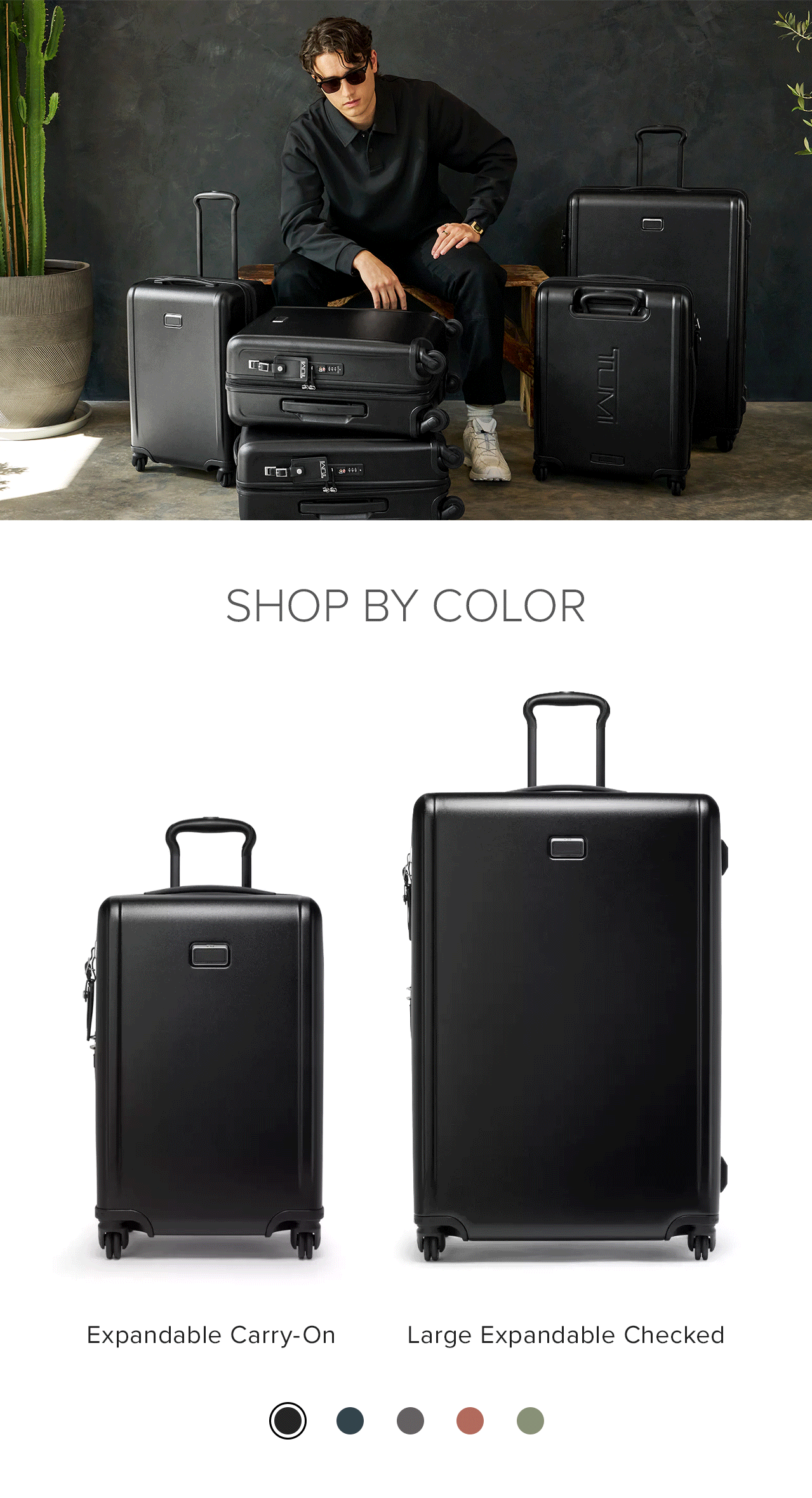 FIVE COLORS - SHOP BY COLOR