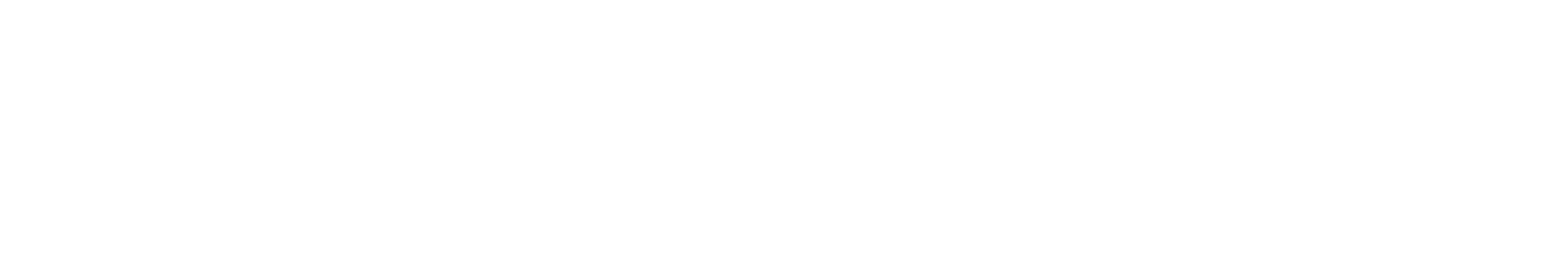 turtle beach