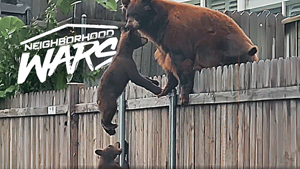 Neighborhood Wars