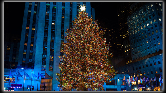 Holiday Specials