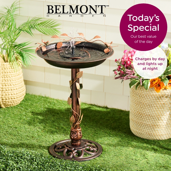 todays special 