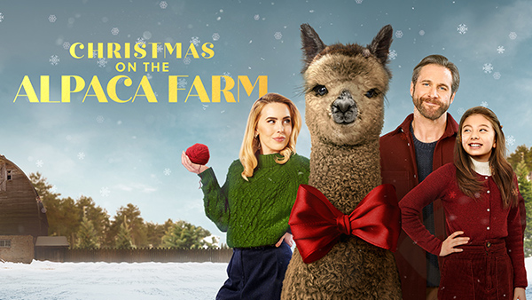 Christmas on the Alpaca Farm