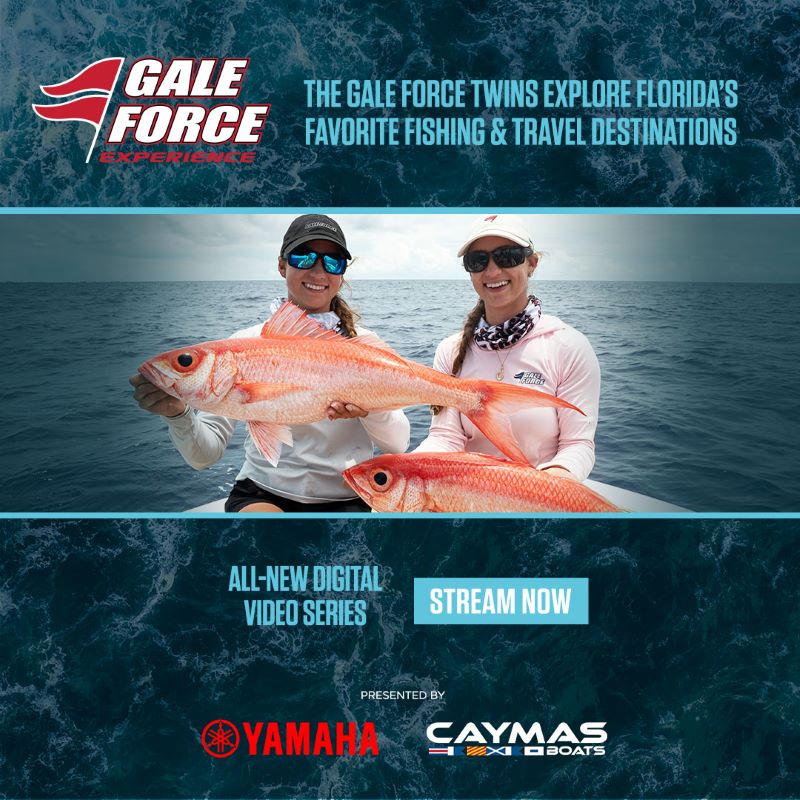 Blue aquatic background and image of the Gale Force twins holding matching fish