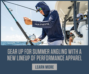 advertisement