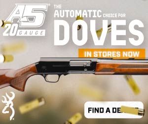 advertisement