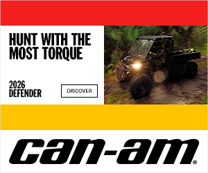 advertisement