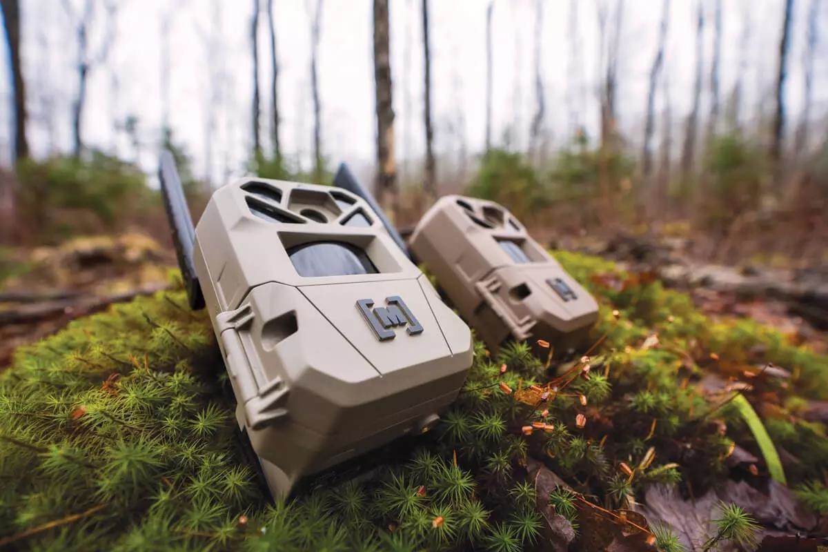 Walkie talkies displayed in nature