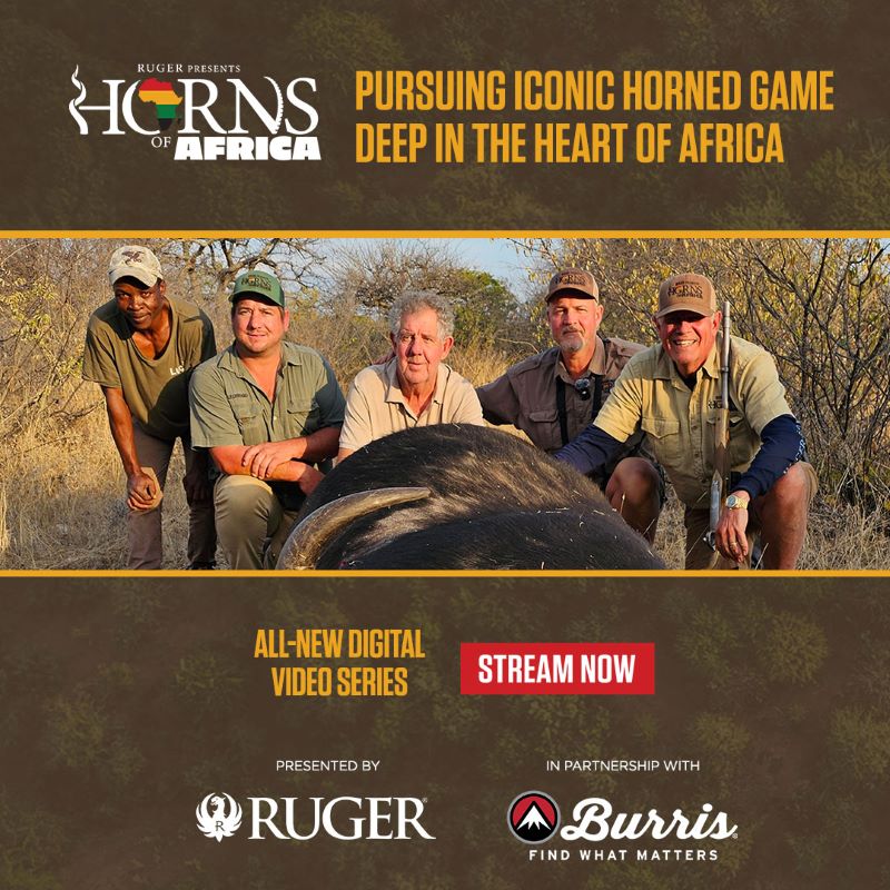 Safari background- 5 men knealing behind a larg horned animal