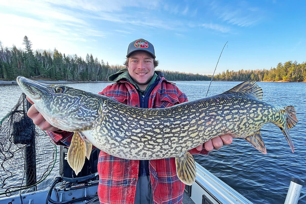 Large fish in fisherman's hands