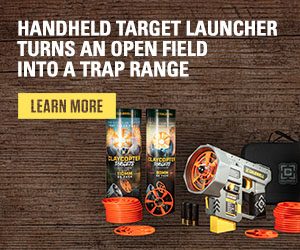 advertisement
