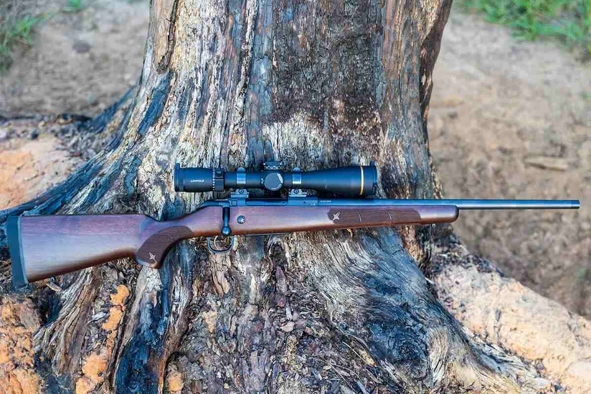 Wood stocked rifle on its side, laying against a tree trunk