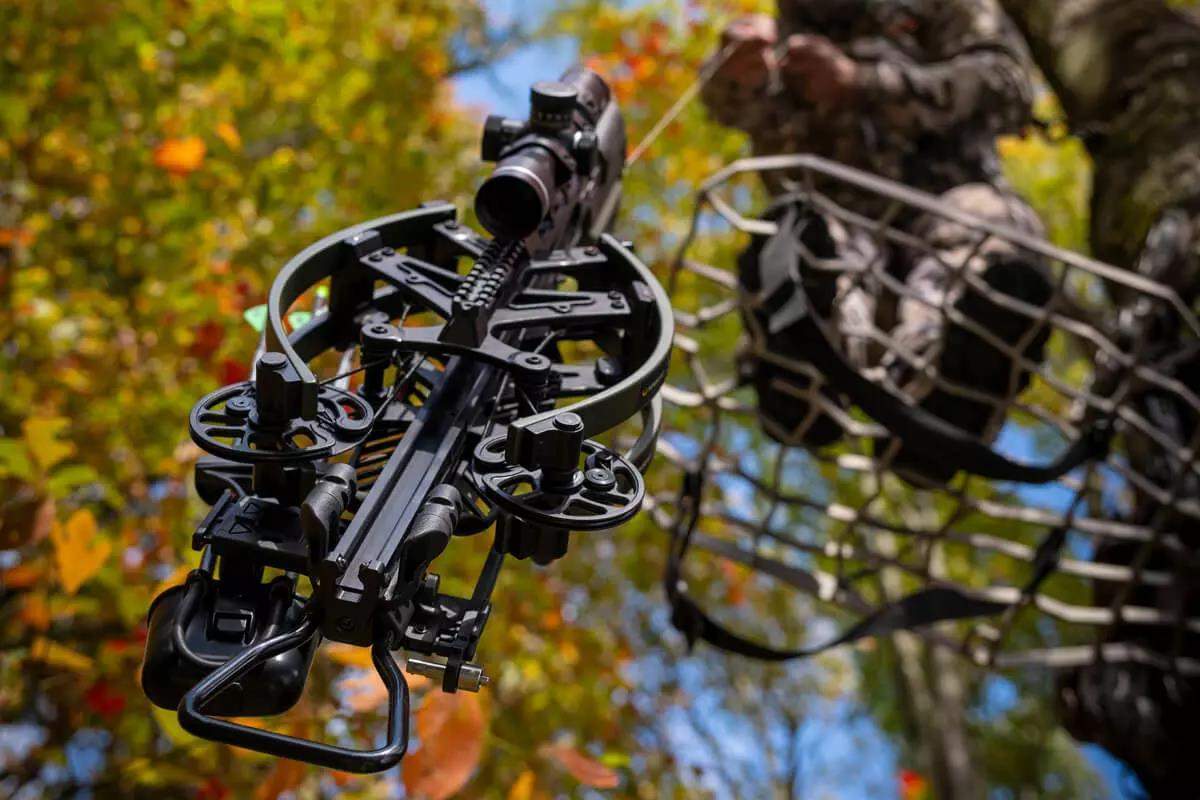 Image of new black crossbow in wooded background