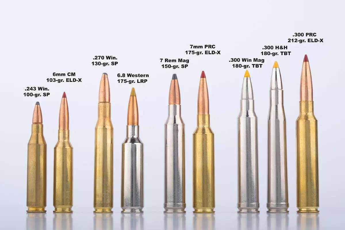 Various sizes and shapes of different gold or silver bullet cartridges side-by-side