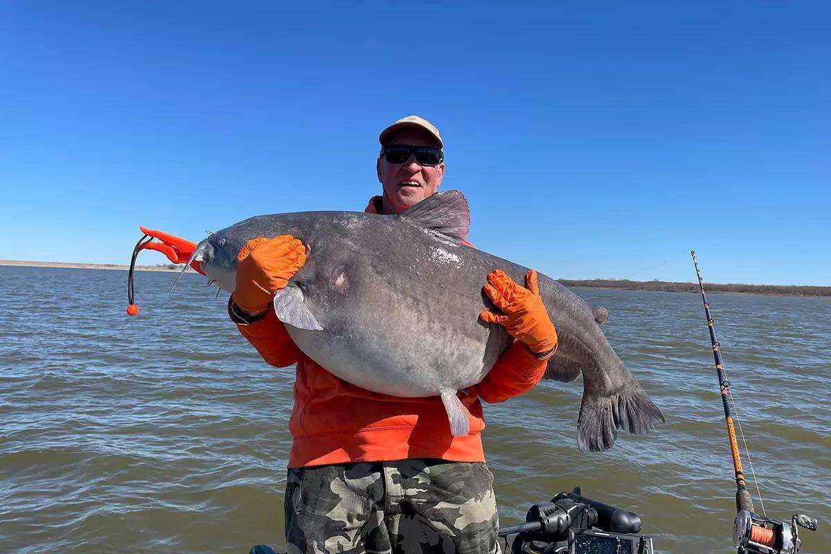 Fisherman holding a large blue catfish