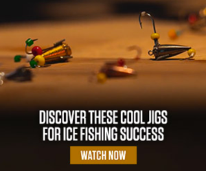 advertisement