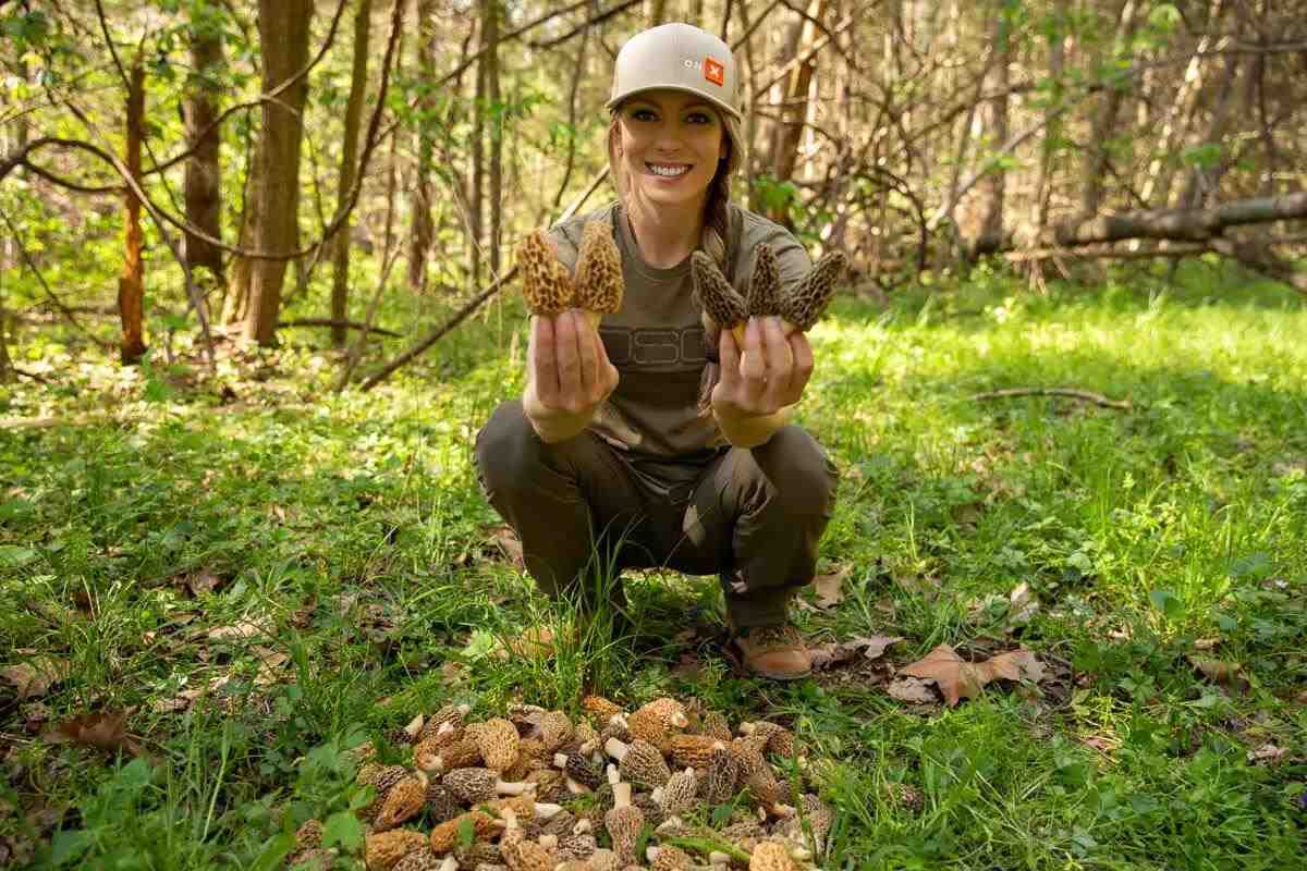 Forager holding mushrooms in the woods