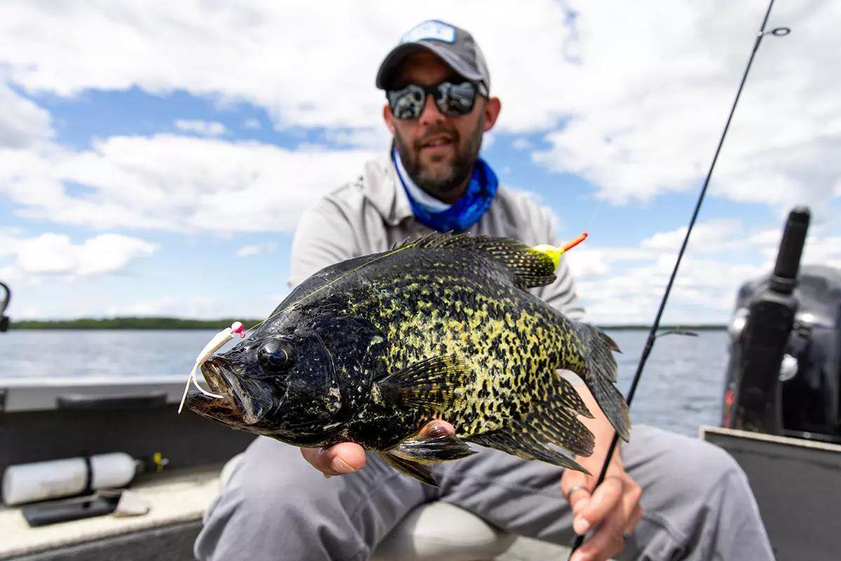 Smiling fisherman holding crappie on line over water