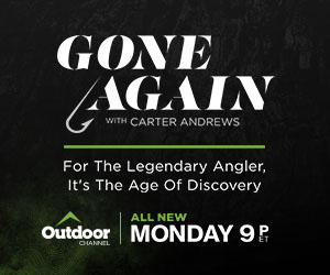 advertisement