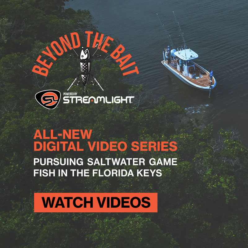 Arial view of tree-lined water with a fishing boat near the edge