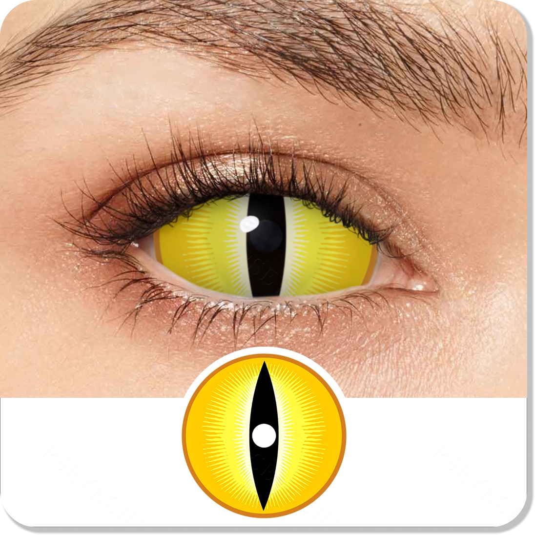 Snake Sclera Eyes