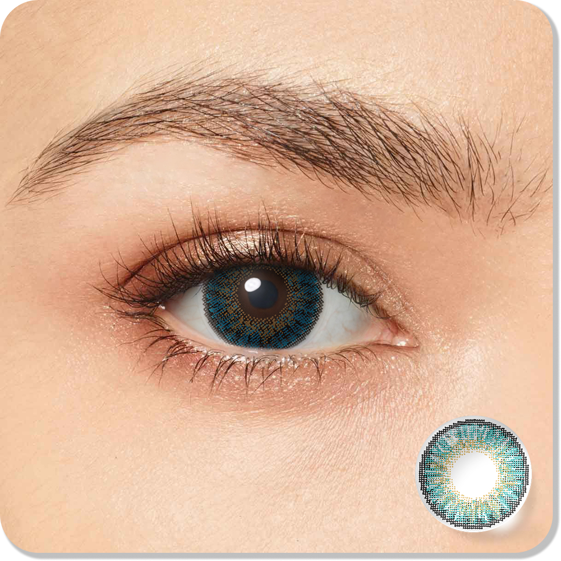 3 Tone Turquoise Eyes