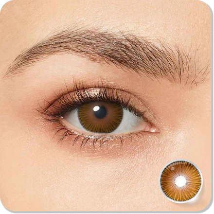 Fiesta Hazel Eyes