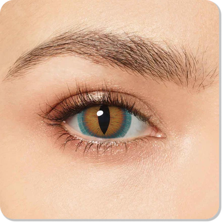 Brown Lizard Mini Sclera Eyes