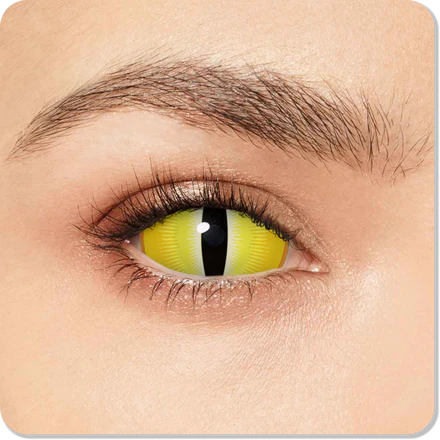 Snake Sclera Eyes