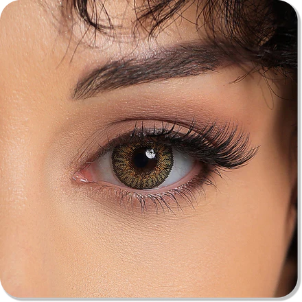 3 Tone Pure Hazel Eyes