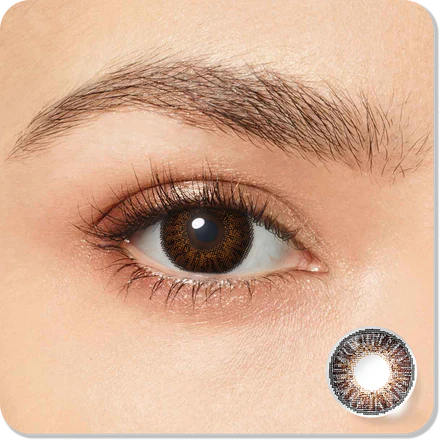 3 Tone Brown Eyes