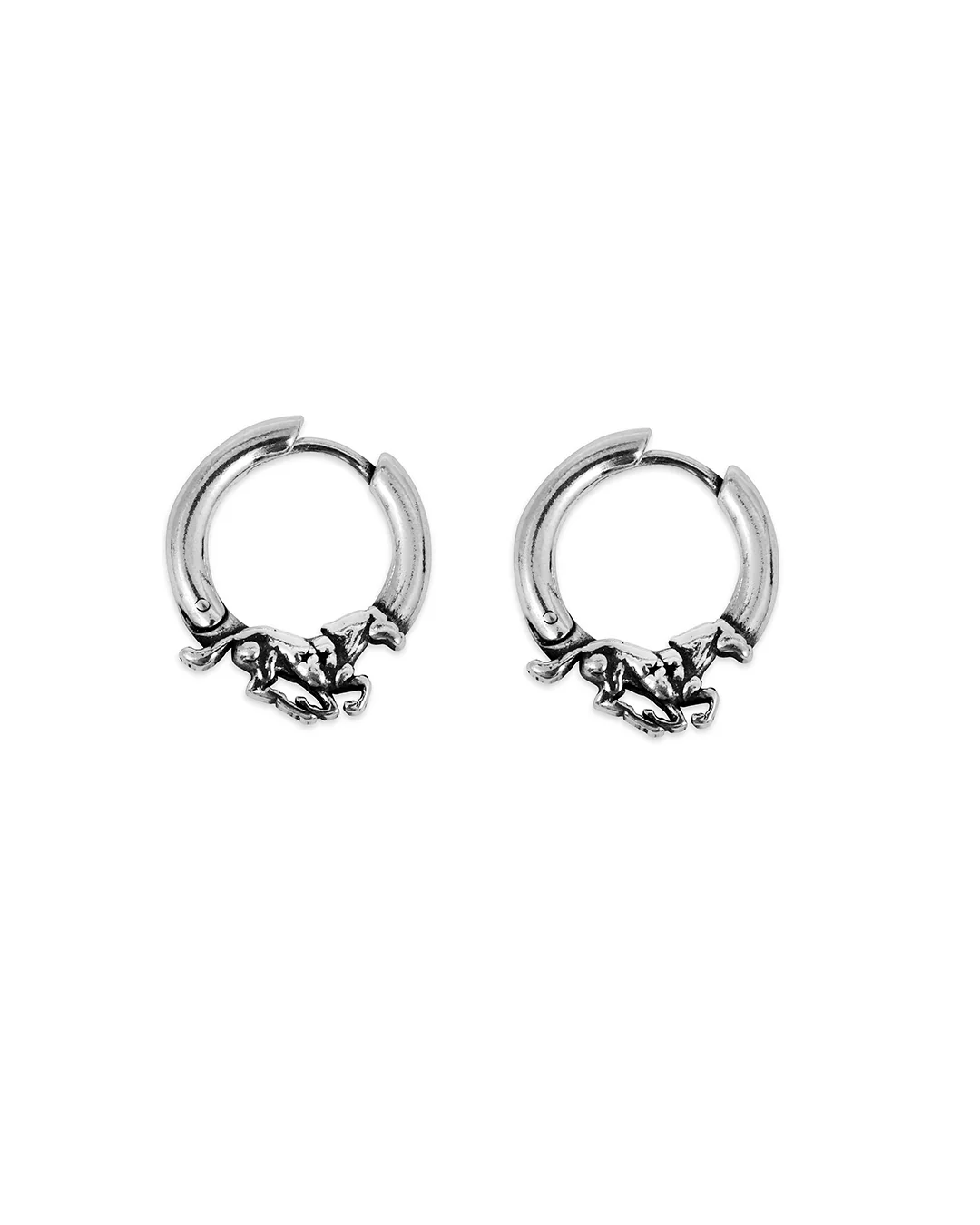 Image of Wild Horse Earrings