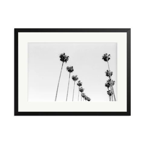 LA Palms Framed Print