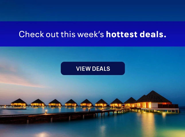 Check out this week’s hottest deals. View deals.