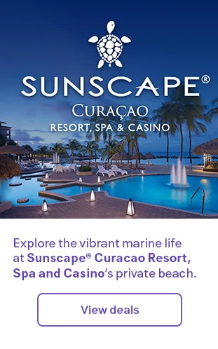 Explore the vibrant marine life at Sunscape® Curacao Resort, Spa and Casino’s private beach. View deals.