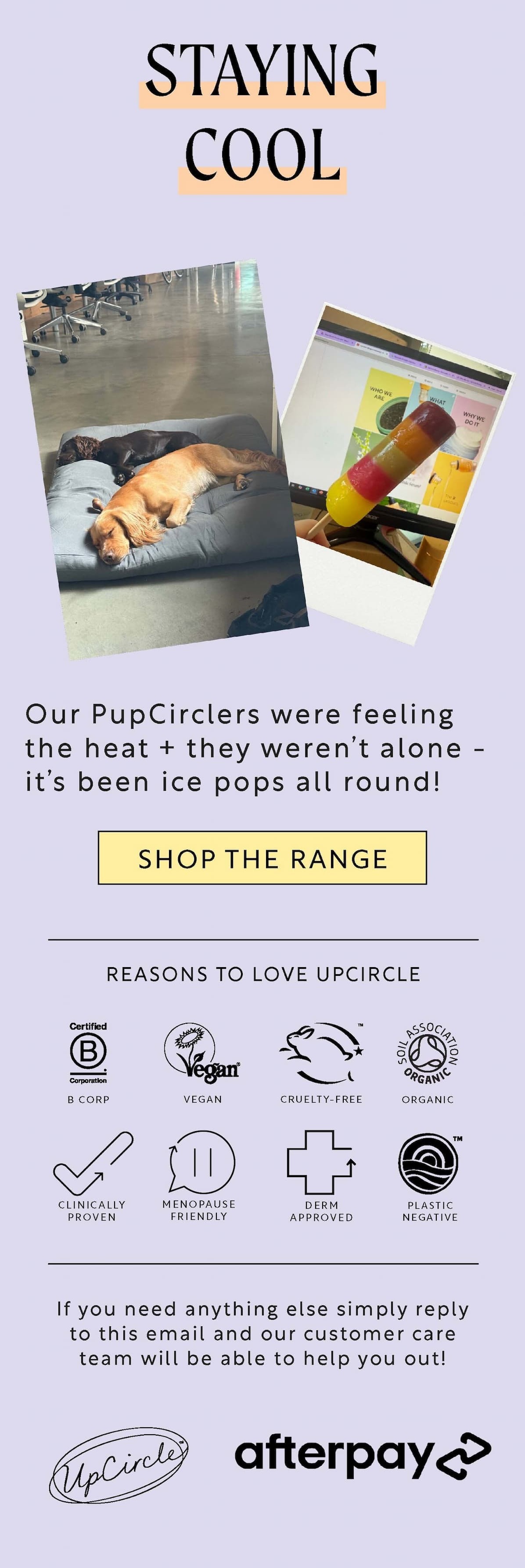 shop-all