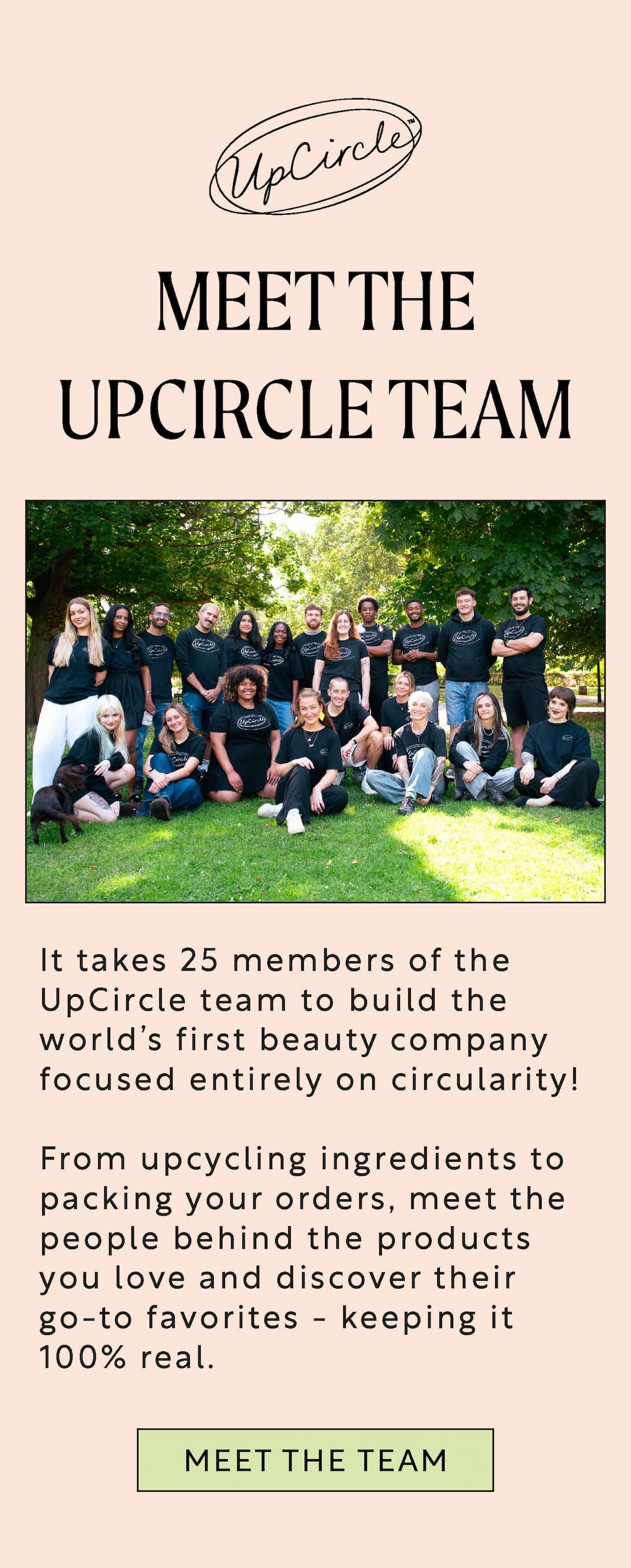 meet-the-team