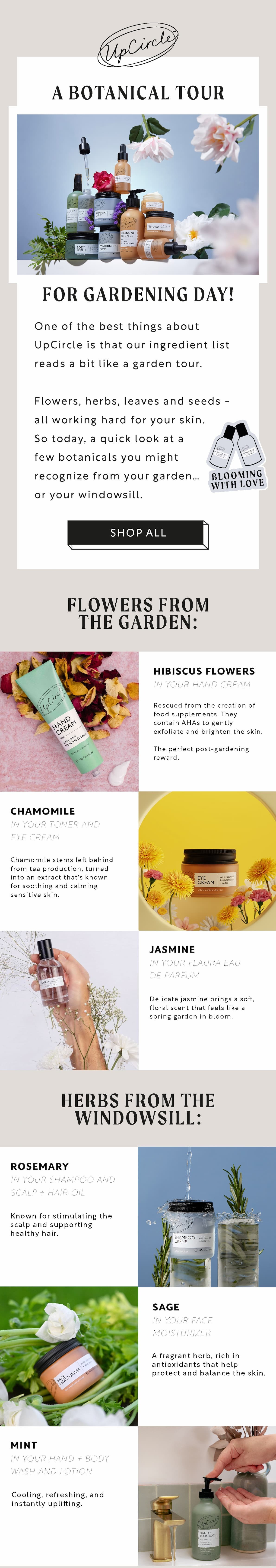 National gardening day: How UpCircle uses rescued botanicals like hibiscus, chamomile, jasmine, rosemary, sage - shop now!