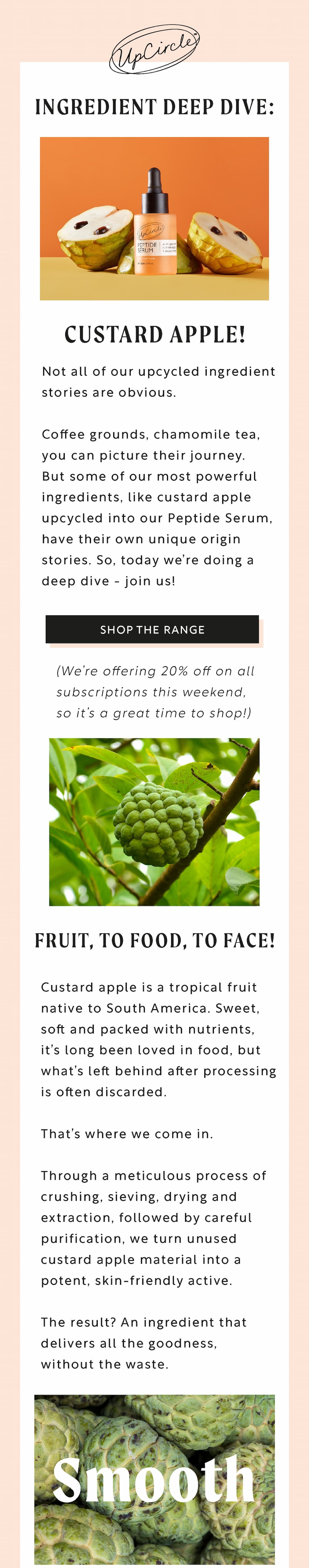A deep dive into the story behind upcycled custard apple - Shop now!