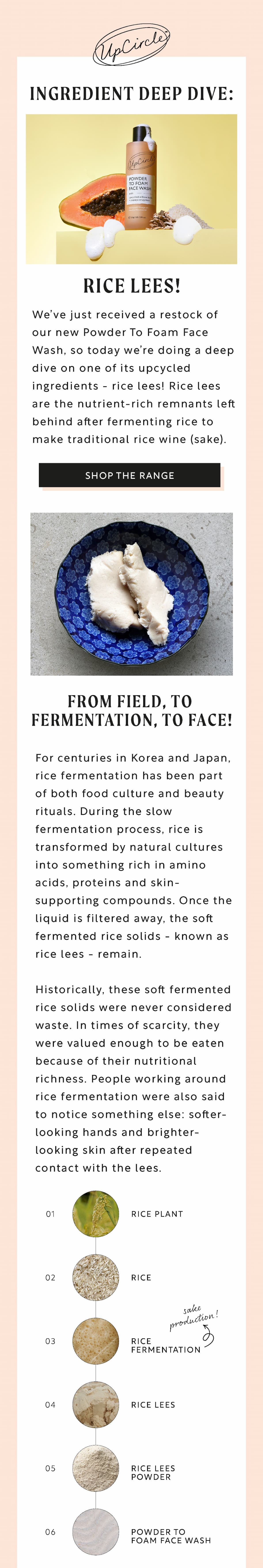 Meet our newest upcycled ingredient - rice lees - shop now!