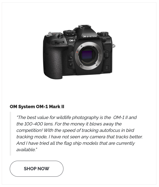 OM System OM-1 Mark II