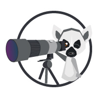 Alex Ringtail - a Lemur