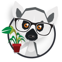 Andy Ringtail - a Lemur