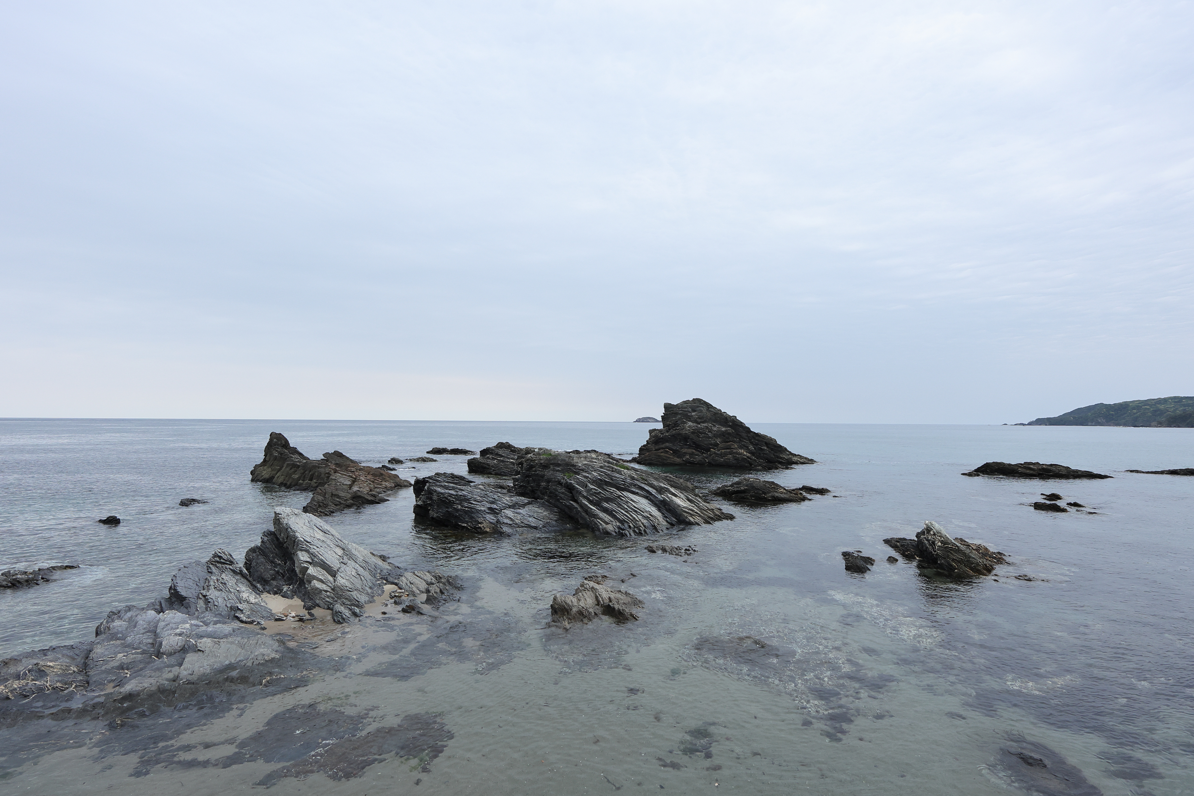 Sigma 12mm F1.4 DC | C