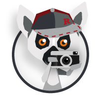Alex Ringtail - a Lemur