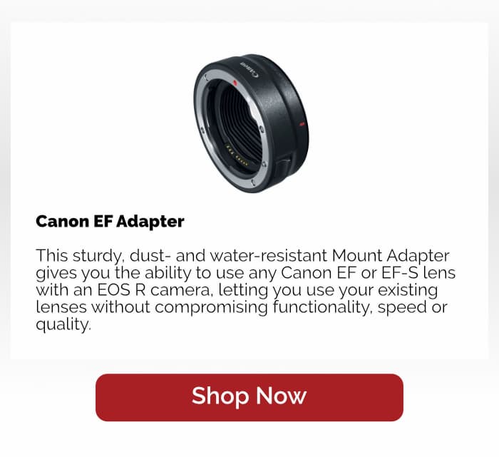 Canon Mount Adapter EF-EOS R