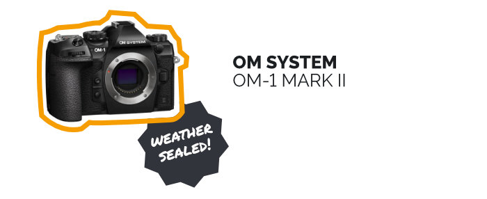 OM SYSTEM OM-1 Mark II
