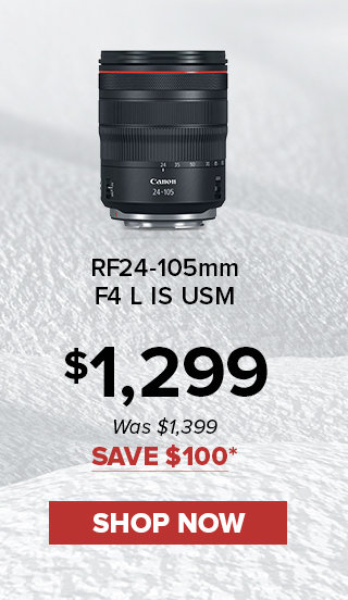Canon RF 24-105mm f/4 L IS USM