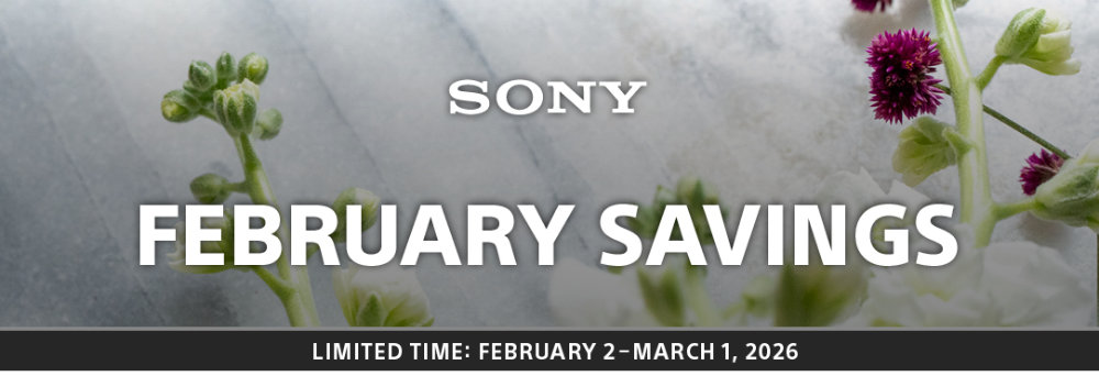 Sony February Savings