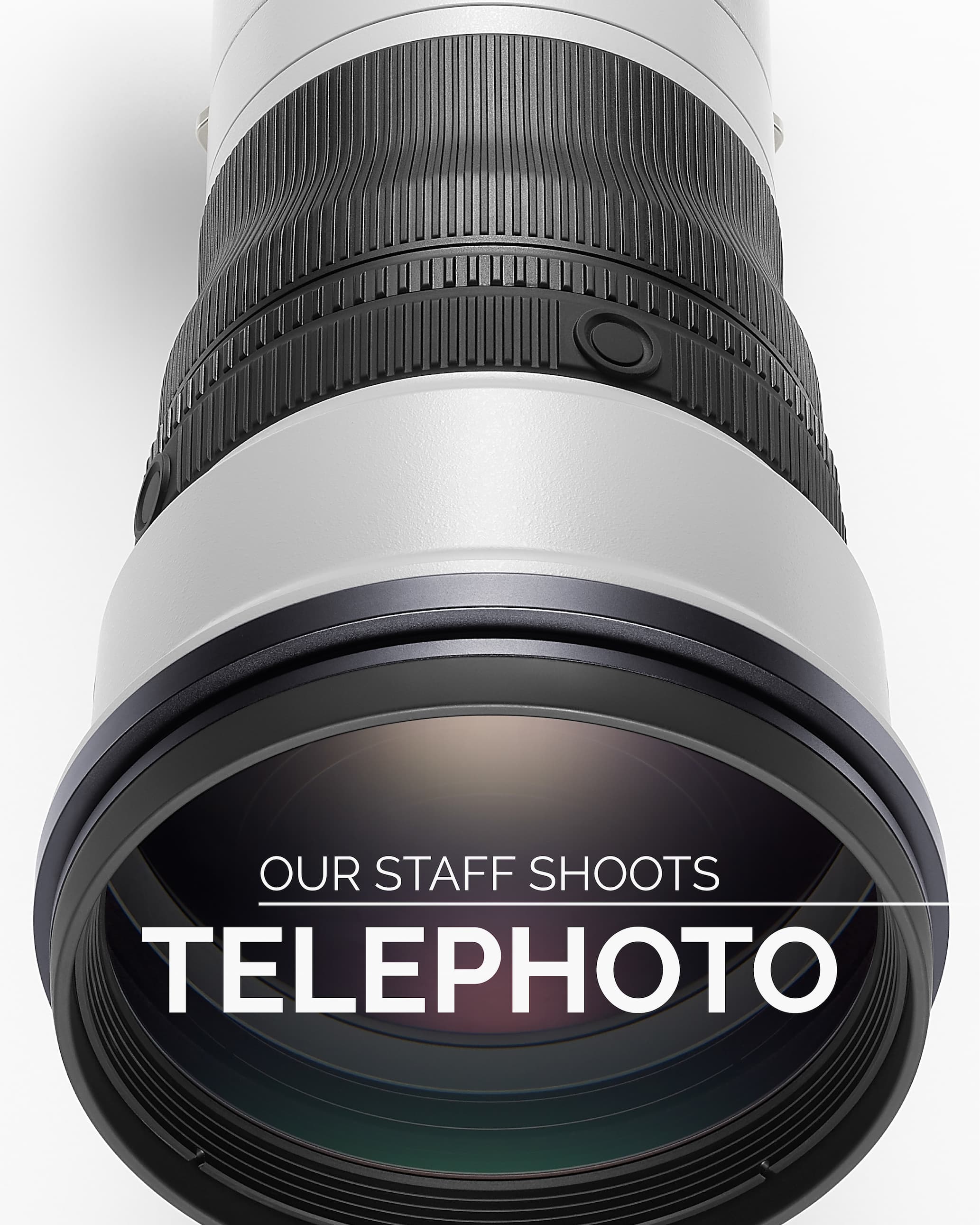 Our Staff Shoots Telephoto