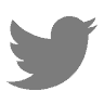  "Twitter"